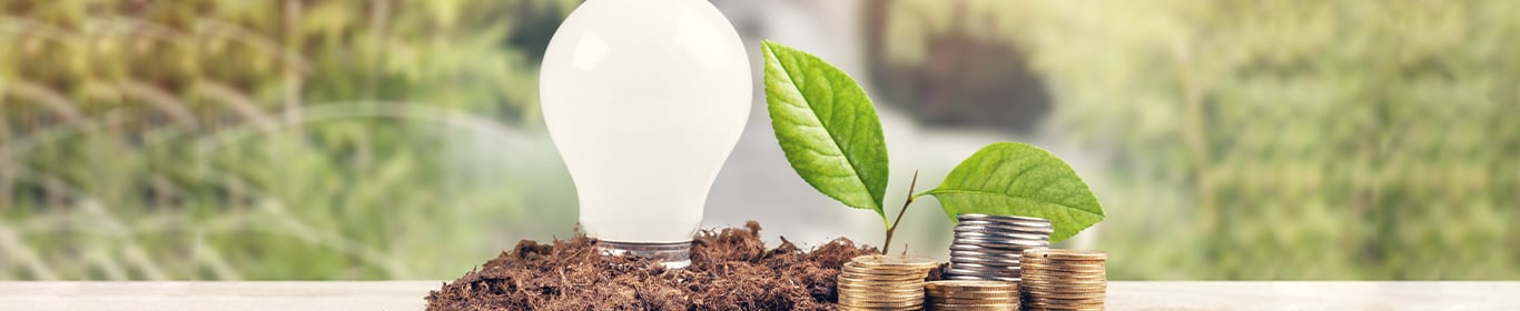 ¿Cómo debes hacer tu presupuesto para 2021?