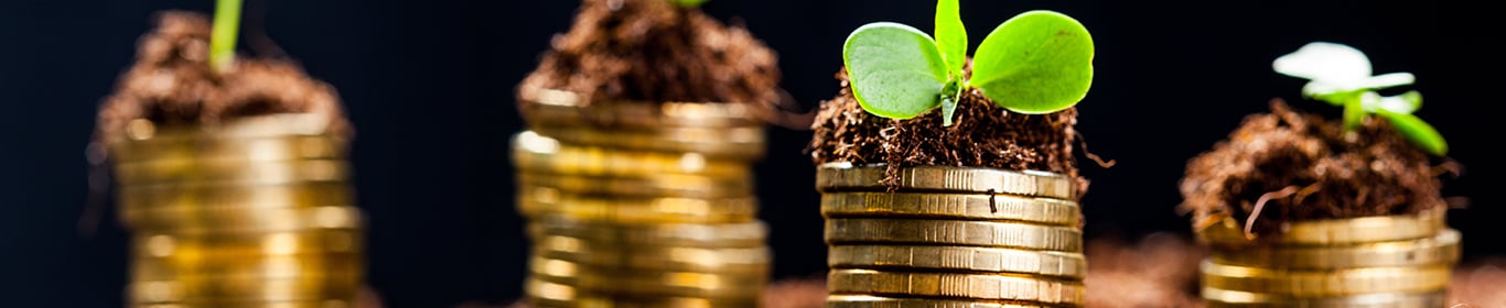 Paso a paso: Planeación financiera