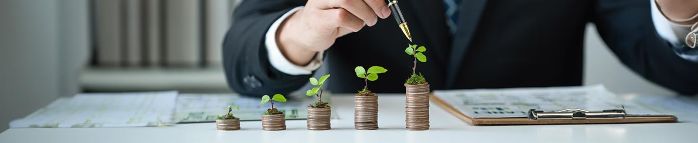 Opciones de inversión para empleados públicos